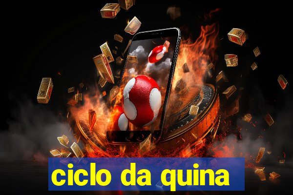 ciclo da quina